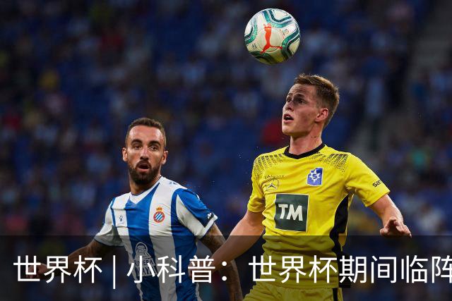 世界杯 | 小科普：世界杯期间临阵换帅，有先例吗？